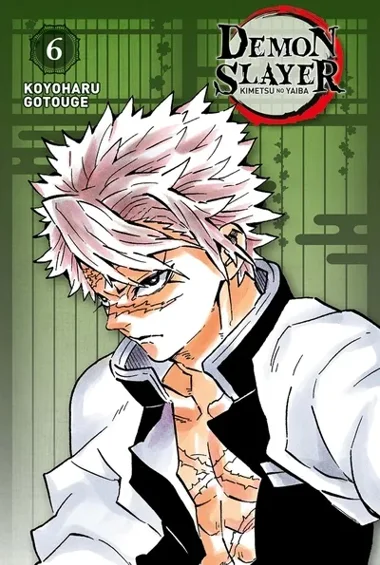 Demon Slayer T06